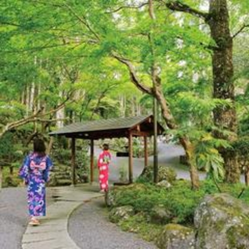 初夏の緑まばゆい当館庭園。