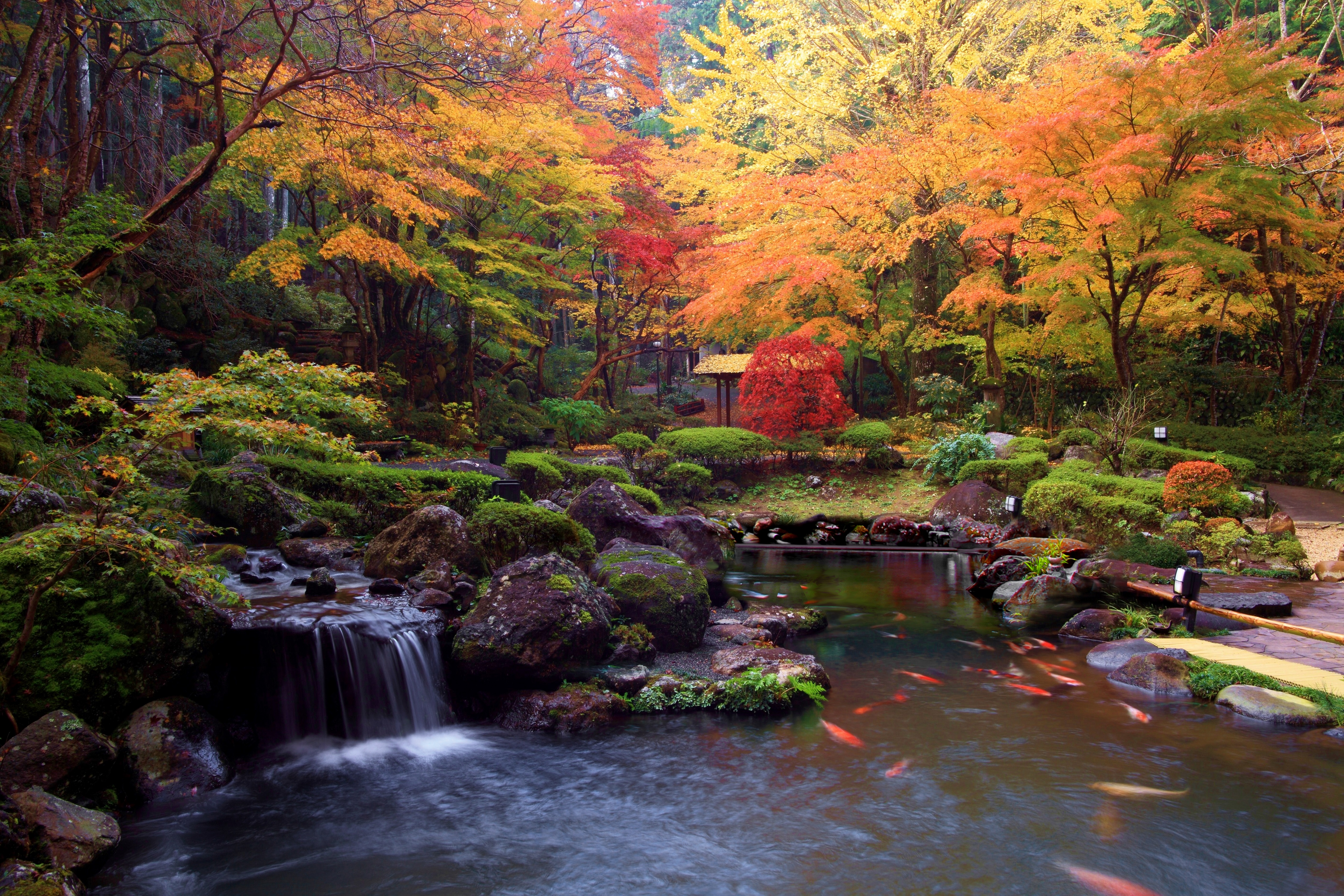 日本庭園（紅葉）