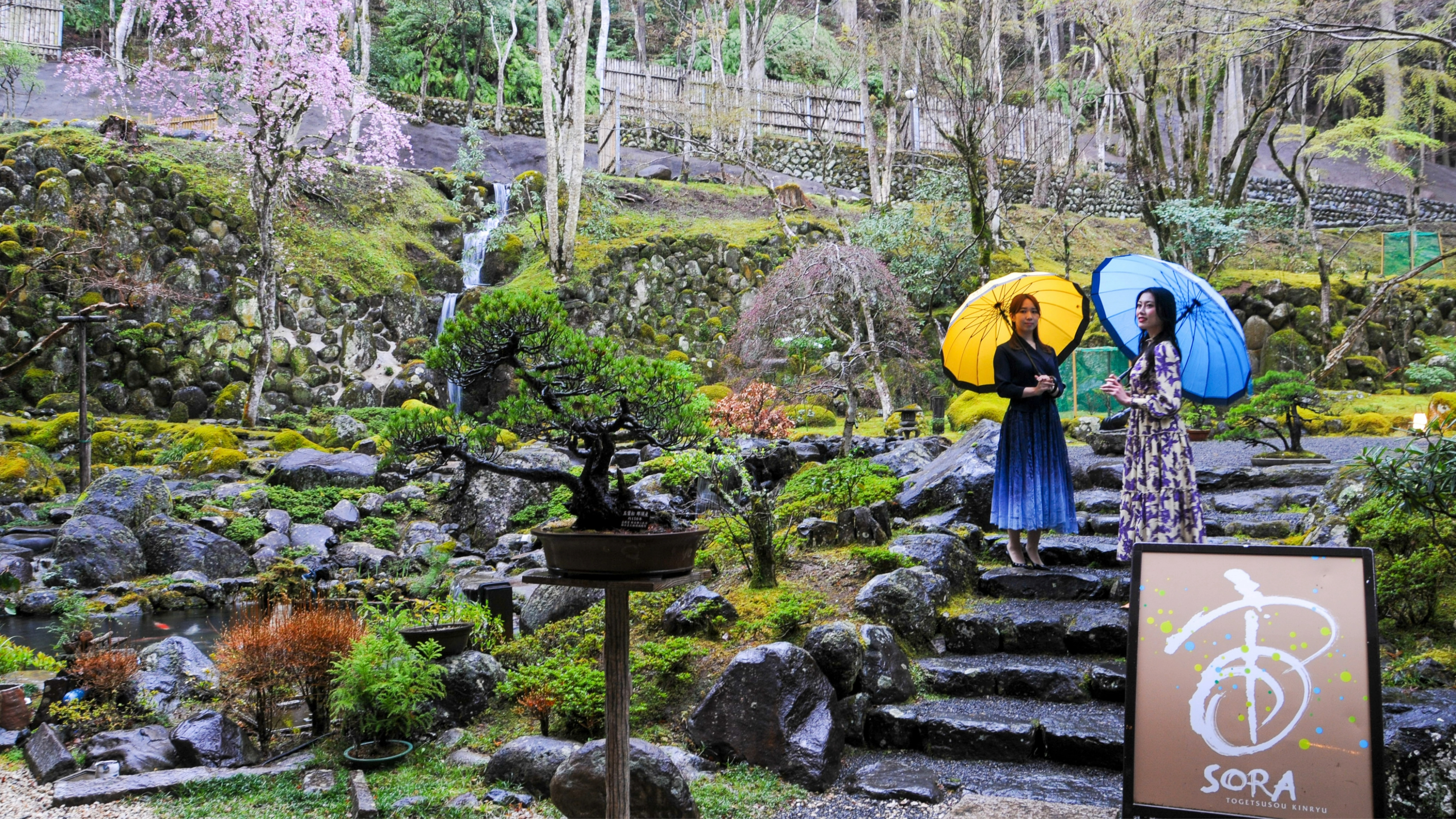 日本庭園（イメージ）