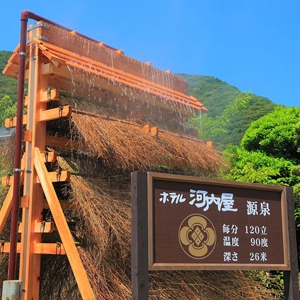 楽天限定★ポイント10倍　量より質の【伊勢海老又は鮑】選べるメイン料理8種からチョイス♪