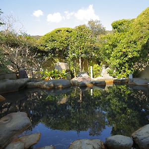 【伊勢海老解禁｜贅沢プラン】今が旬！贅沢に伊勢海老2尾付き＜選べる調理法＞南伊豆の旬を味わうプラン