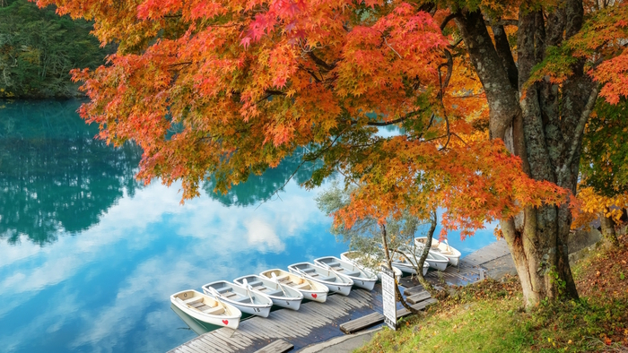 五色沼毘沙門沼の紅葉