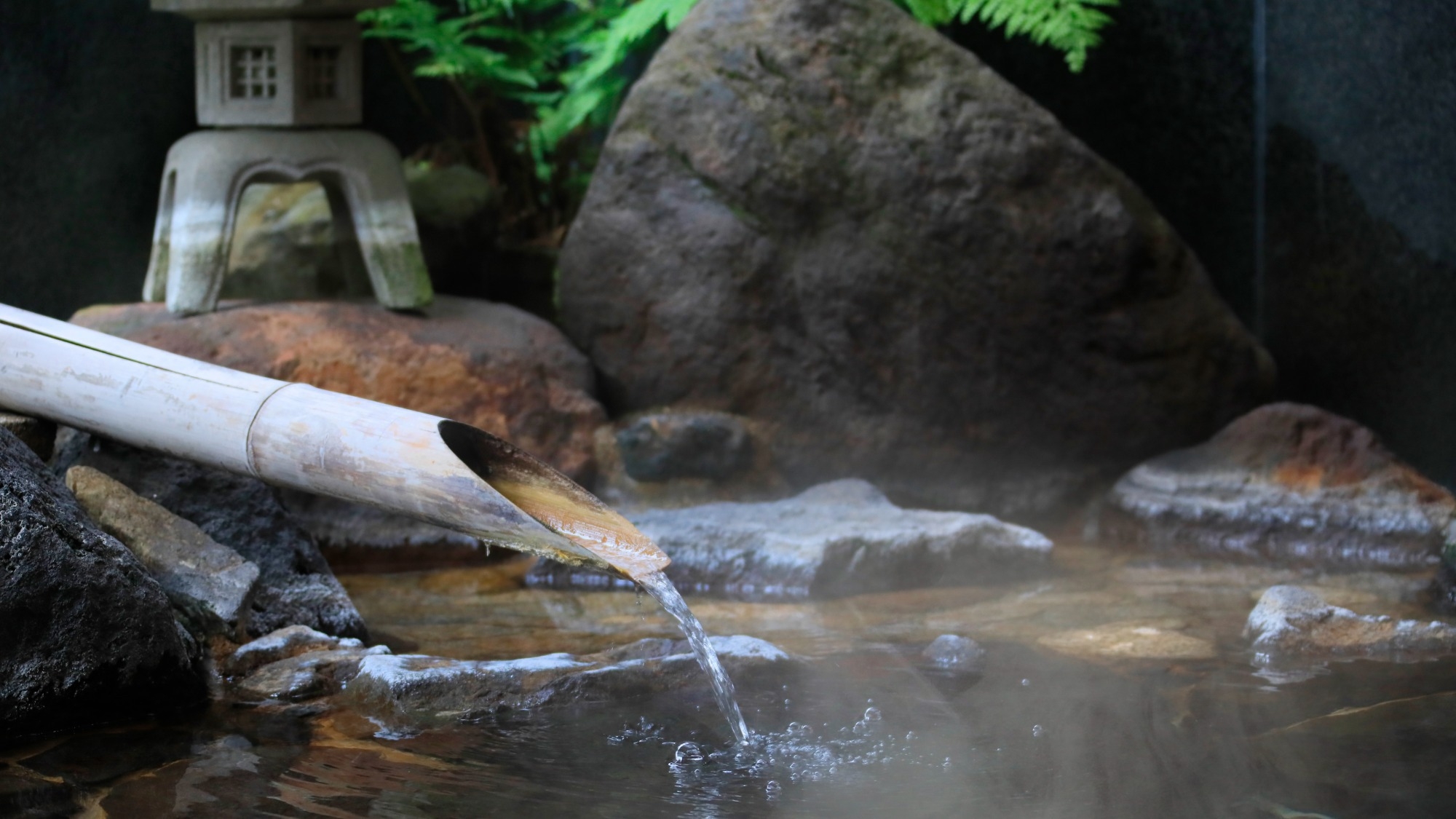 【年末年始×直前割】＜2200円OFF＞「とろとろ」美肌の湯と特選料理で温泉旅行を満喫｜飲み放題付き