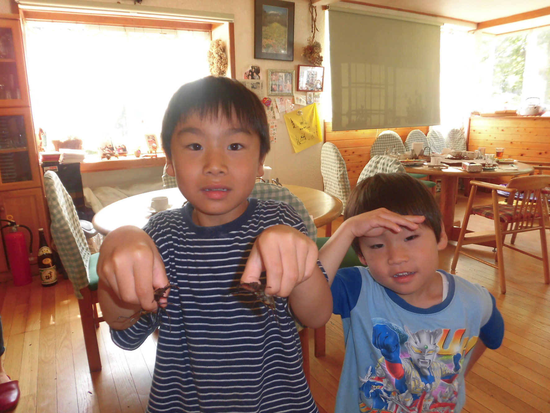 写真3