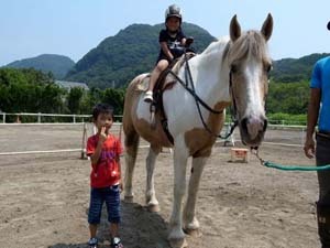 伊豆下田乗馬クラブ０５５８－６２－２９１９