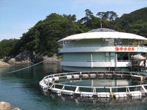 下田海中水族館　車約１５分