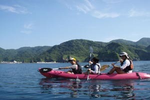 ファミリーシーカヤック　半日体験プランもあります