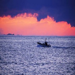 南伊豆　朝の大瀬風景