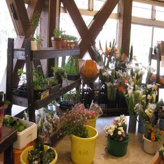 道の駅　下賀茂温泉湯の花