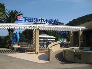 下田海中水族館　車で約２０分