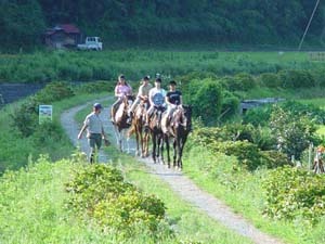 伊豆下田乗馬クラブ０５５８－６２－２９１９