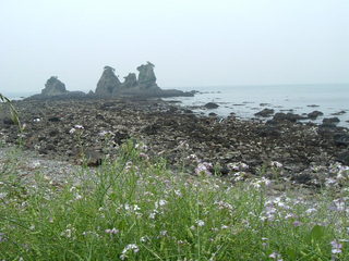 弓ヶ浜となりのおおの浜　