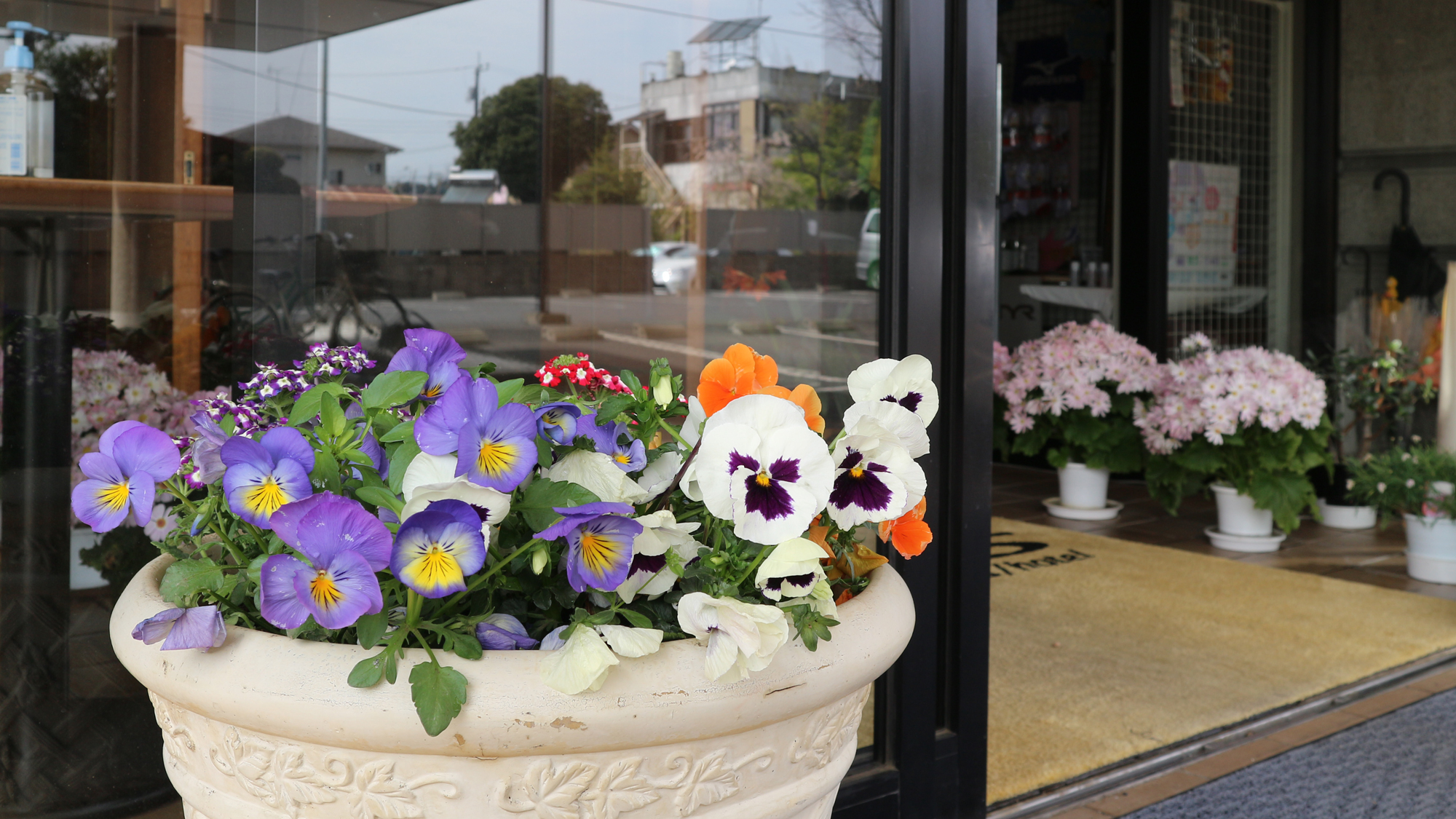 *【館内入り口】館内外に季節のお花を飾っています。お花でほっと一息癒されてください。