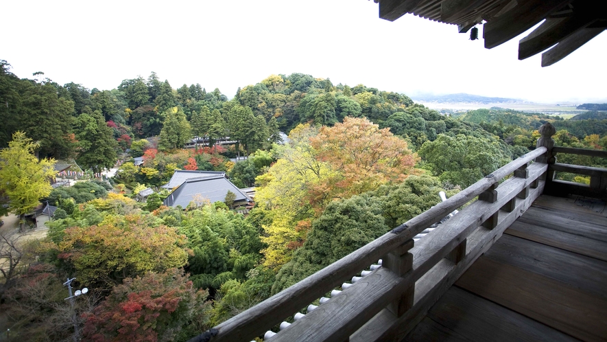 *【清水寺】三重塔からの眺め