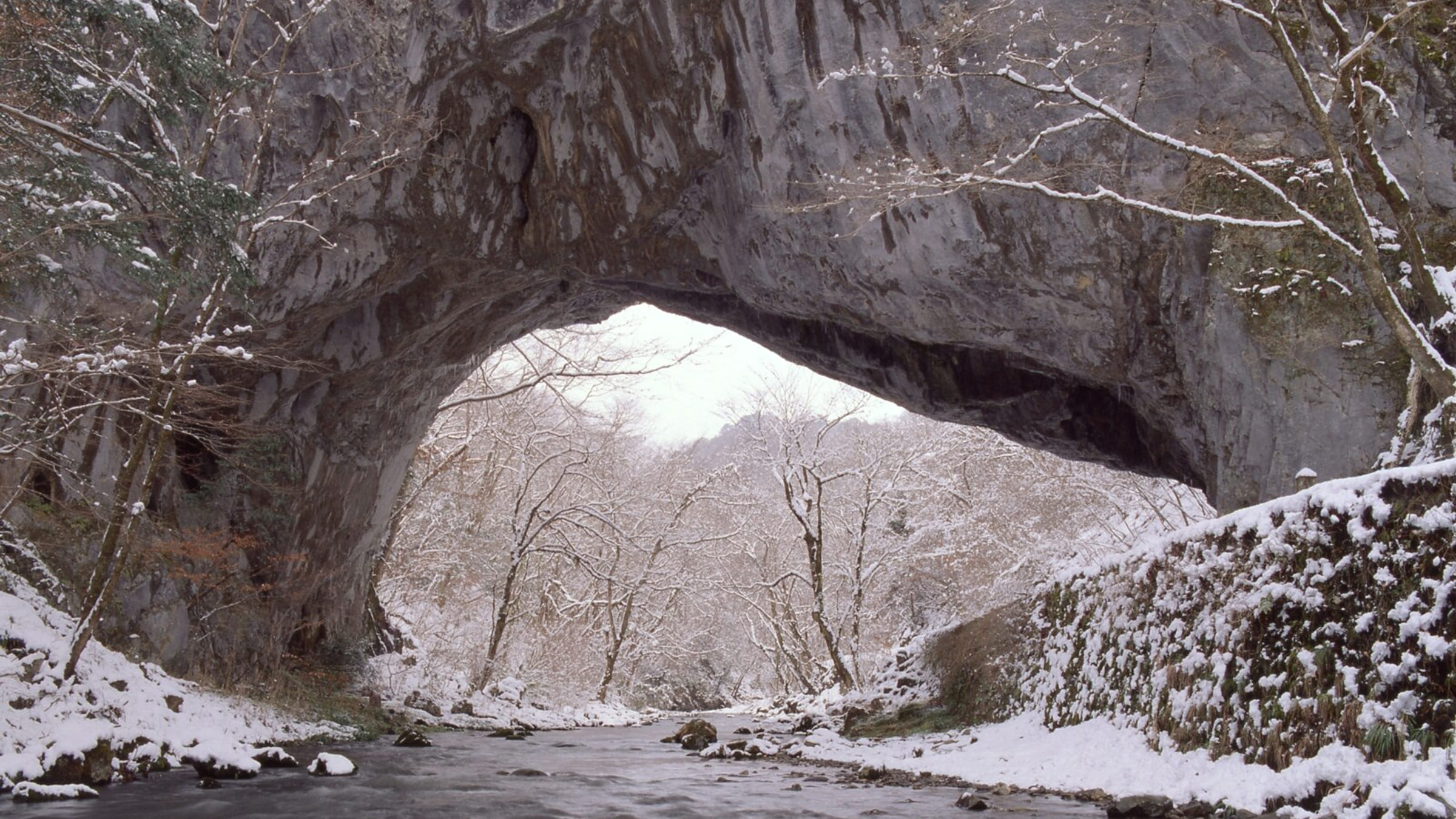 雄橋