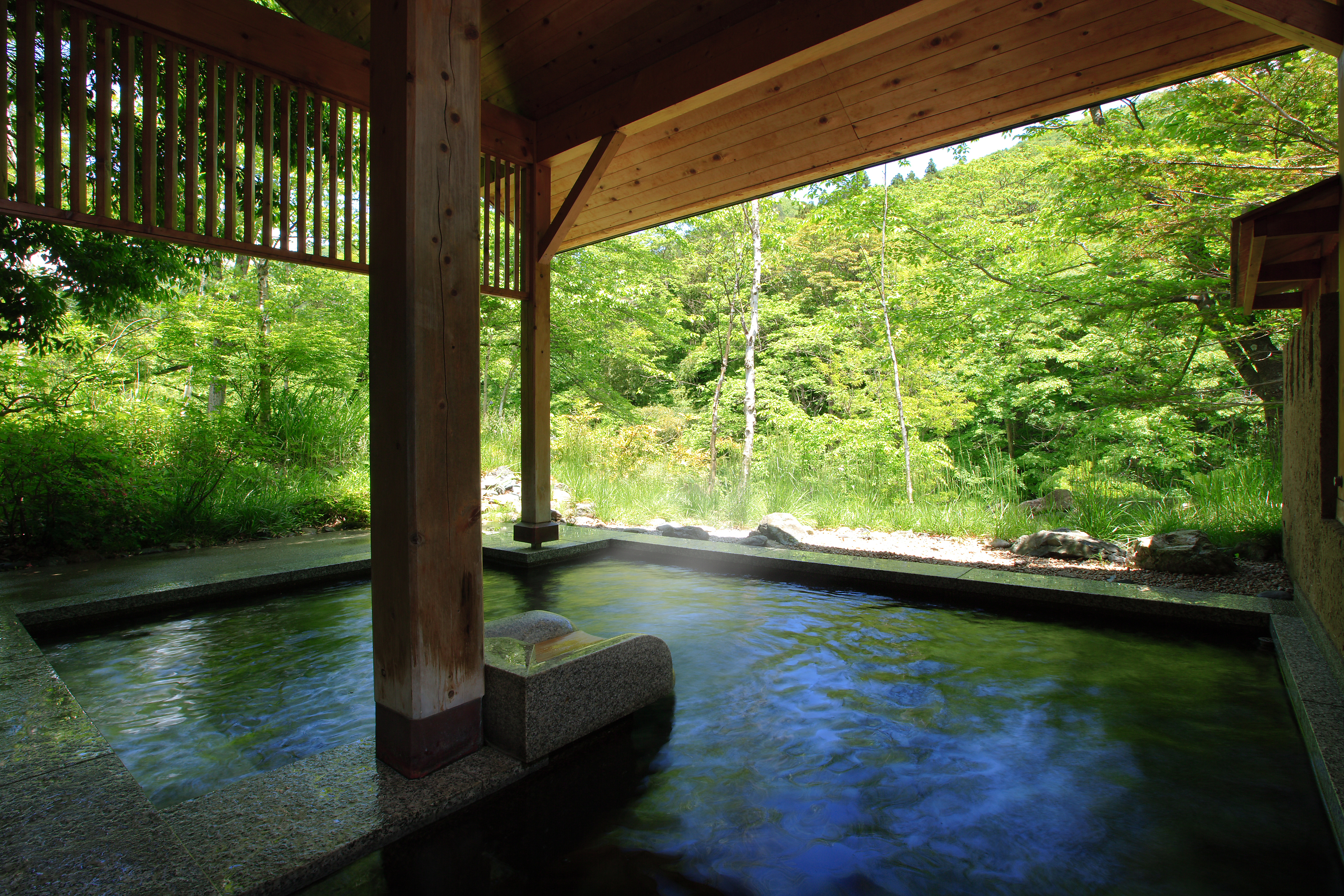 谷川温泉 別邸 仙寿庵(せんじゅあん)(スパ・温泉・プール)