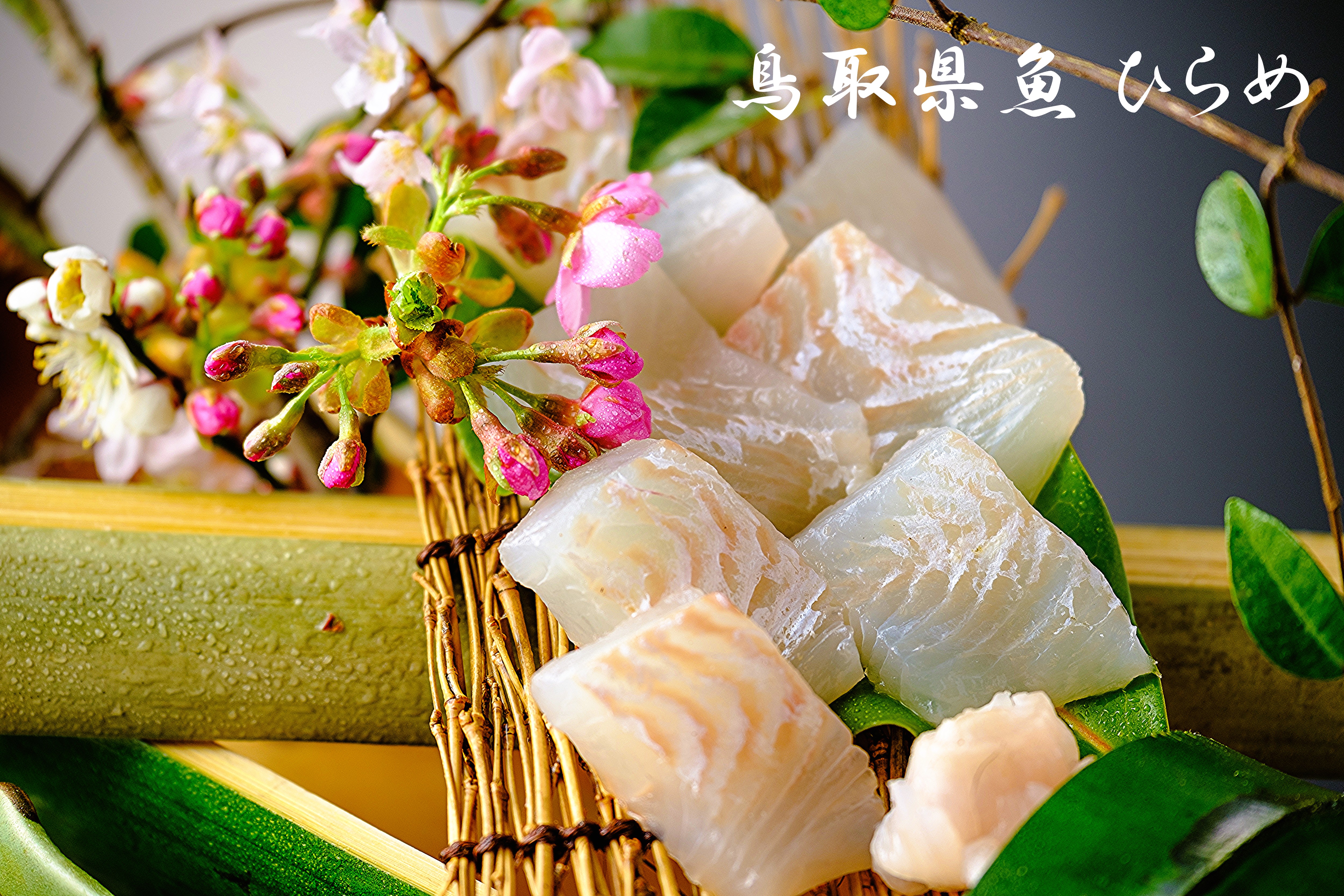 鳥取県魚ひらめ(イメージ)