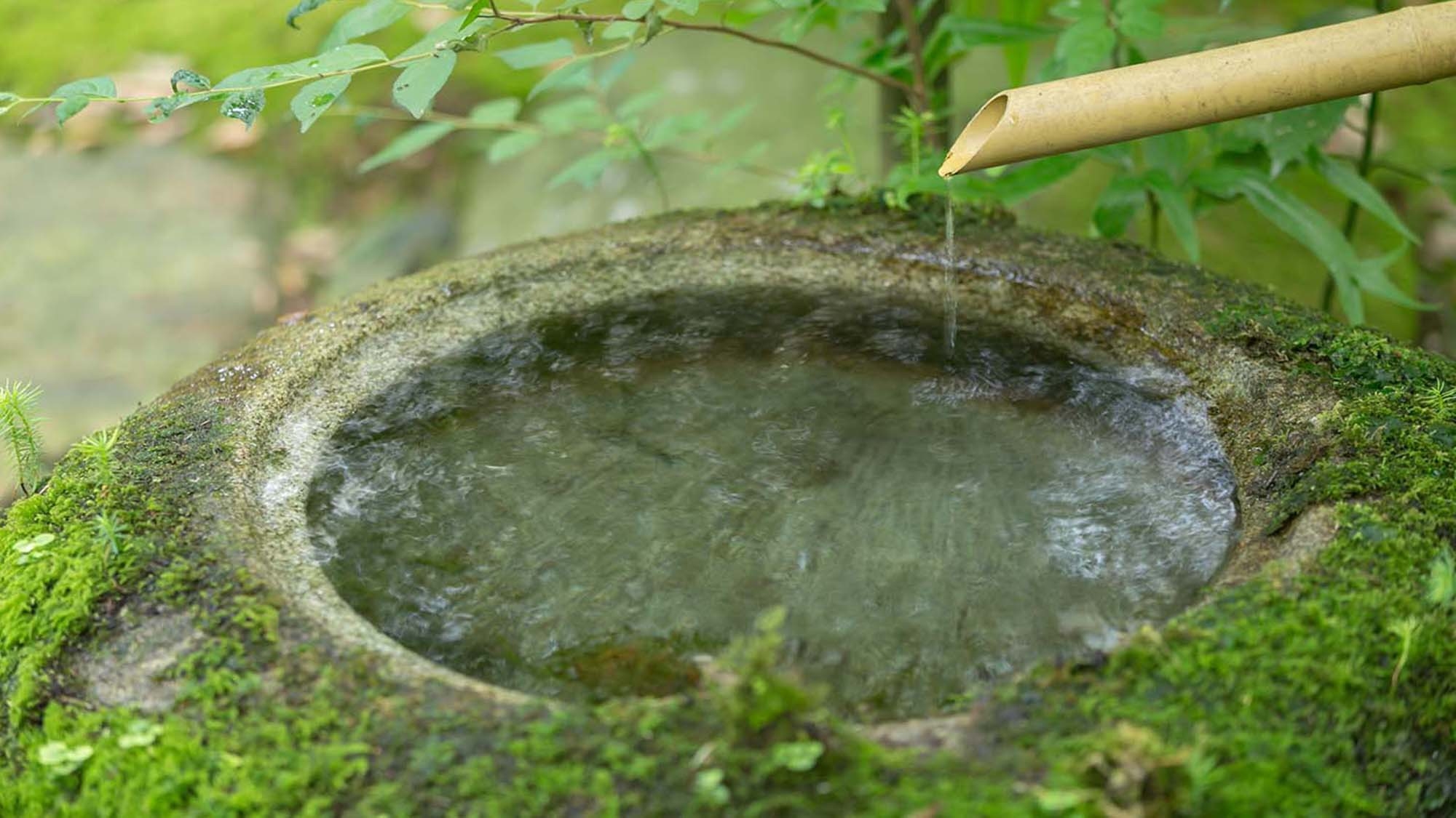 【法師／2食付きスタンダードプラン】北陸最古の宿で1300年の霊泉を愉しむ