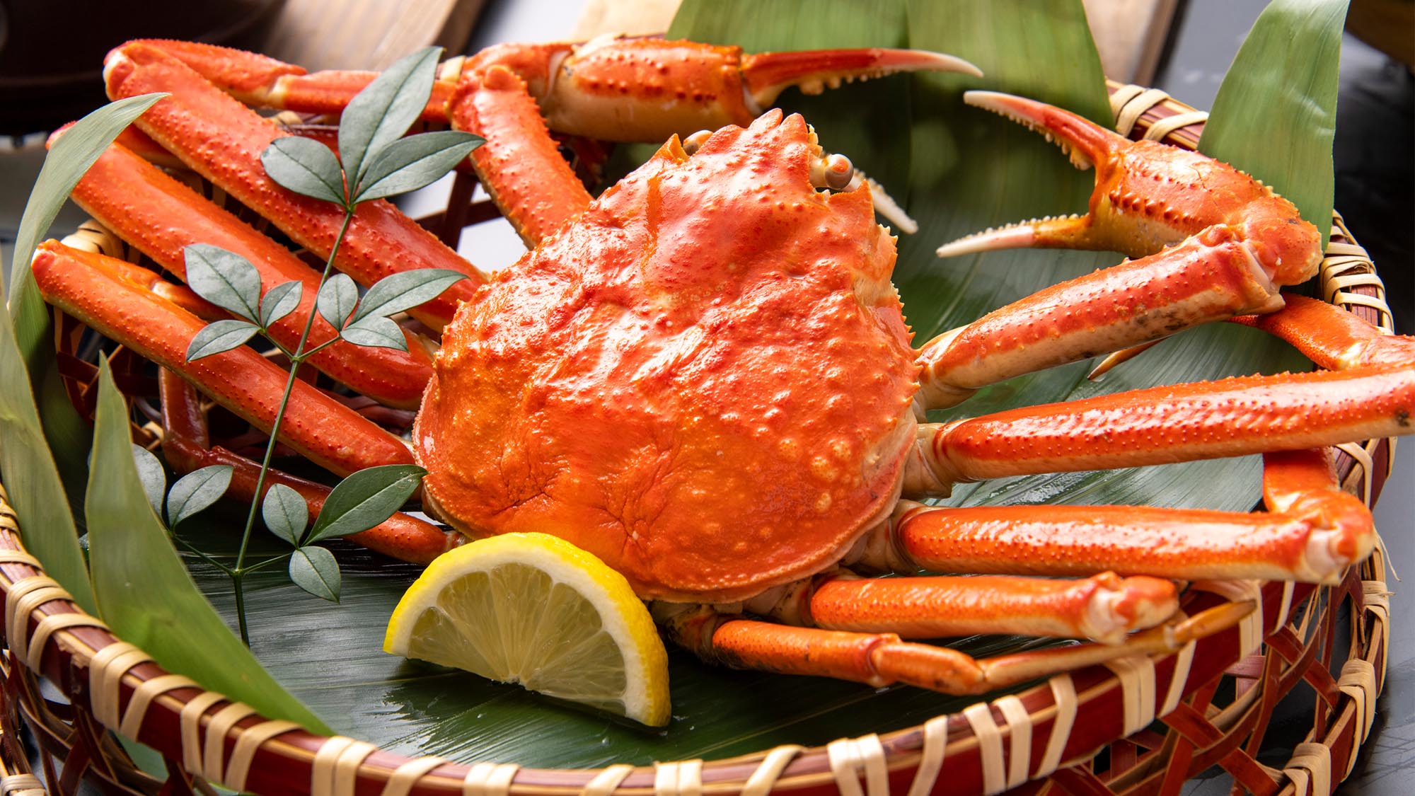 《ズワイ蟹１杯付》堂々と面付き１杯の姿蟹をお召し上がりいただけます。※お料理イメージ