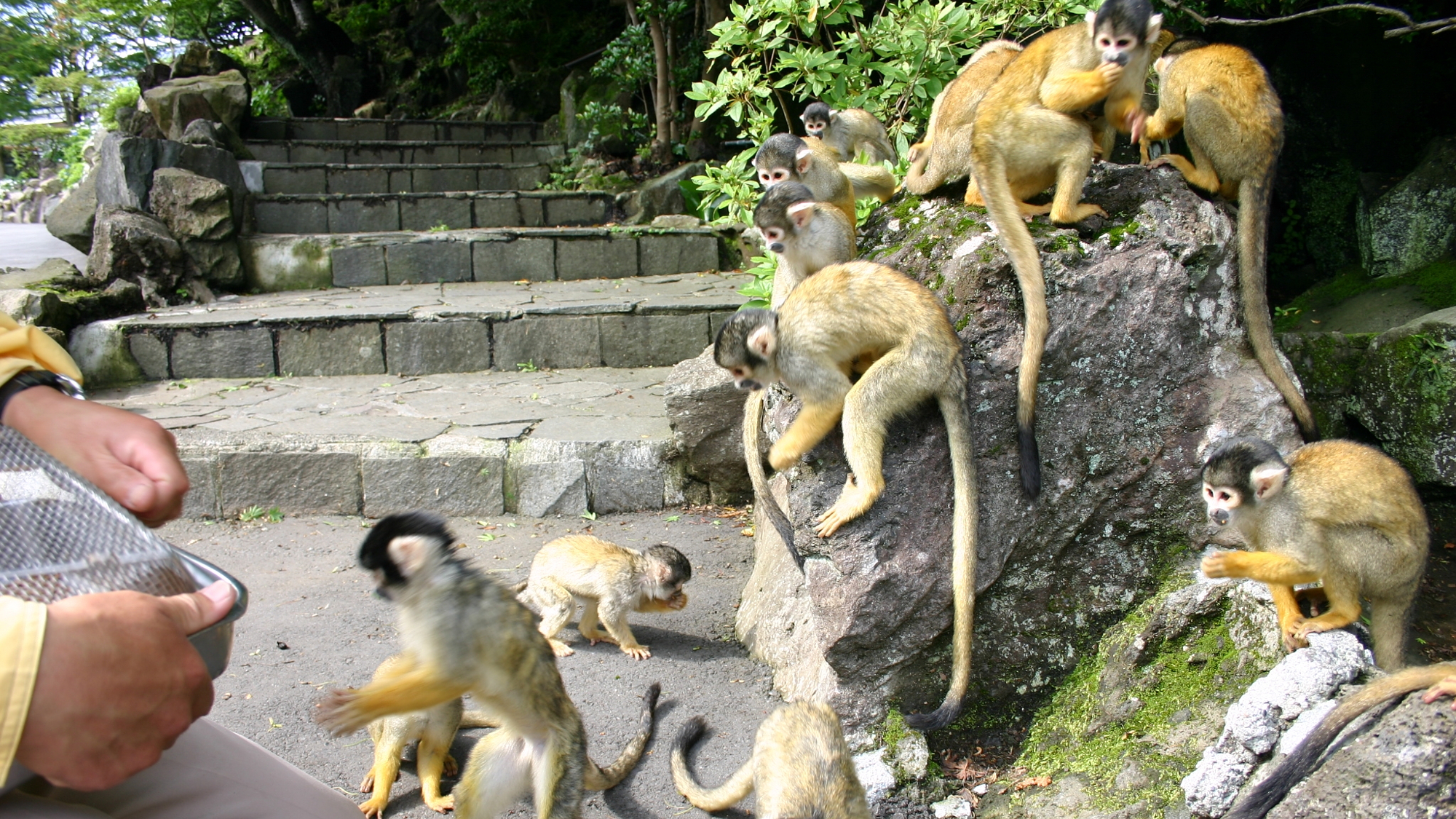 伊豆シャボテン動物公園