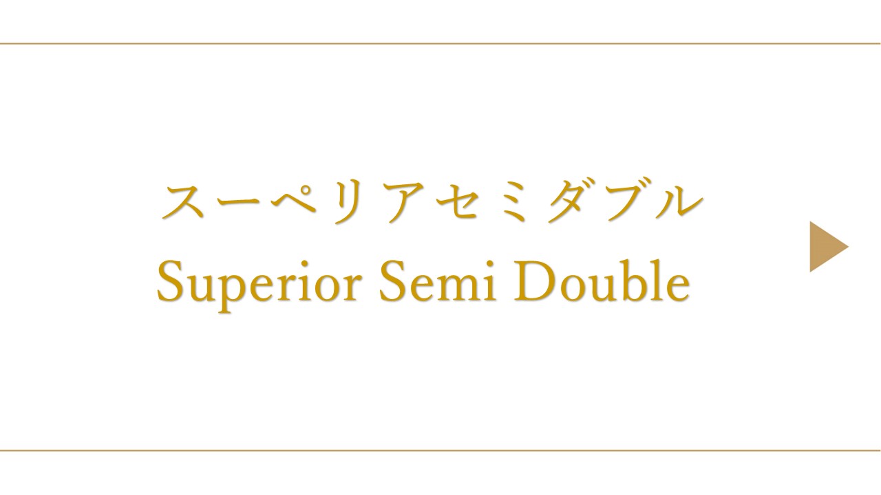 スーペリアセミダブル（約12平米/ベッド幅122cm）