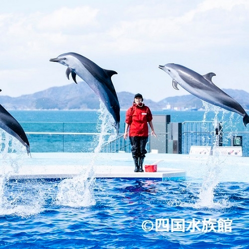 四国水族館