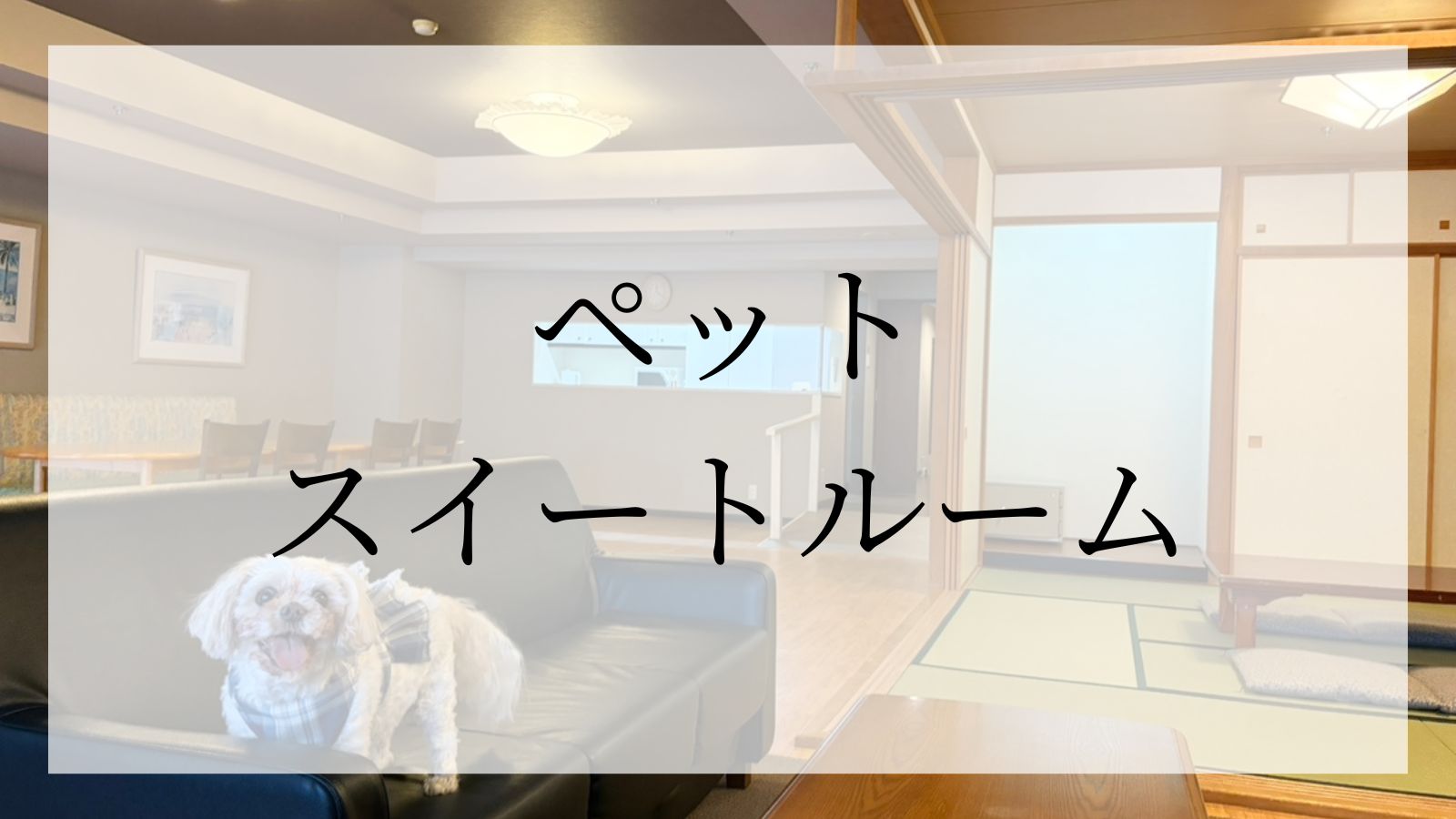 ペットスイートルーム
