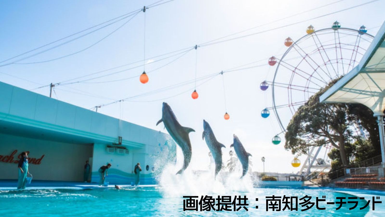 南知多ビーチランド　ショー