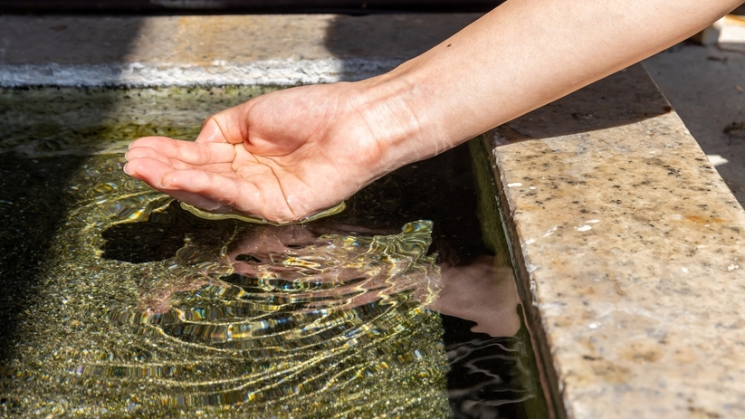 【素泊まり】ペットと一緒に自由気ままな温泉旅！源泉かけ流しの天然温泉