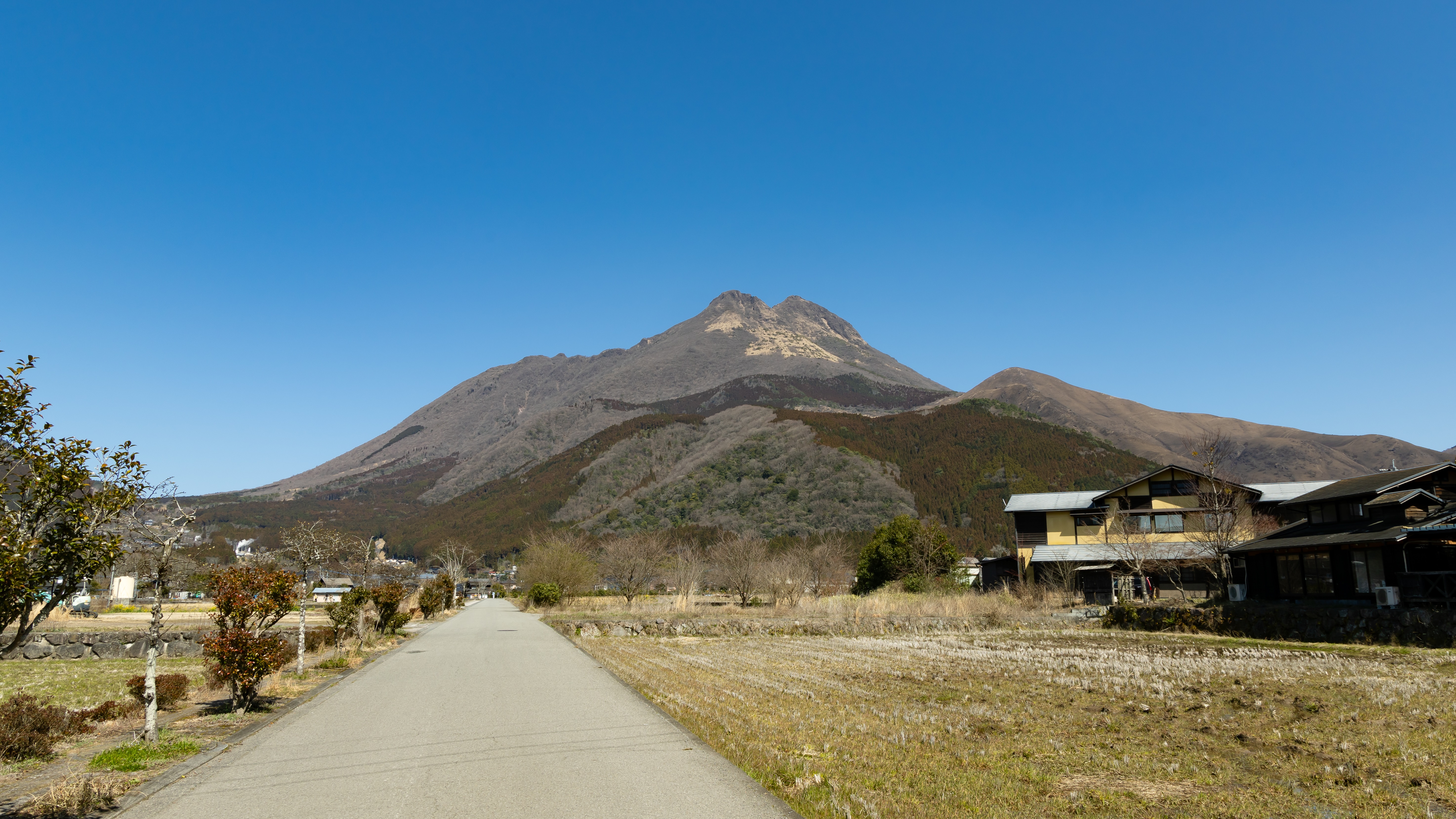 【外観】雄大な由布岳