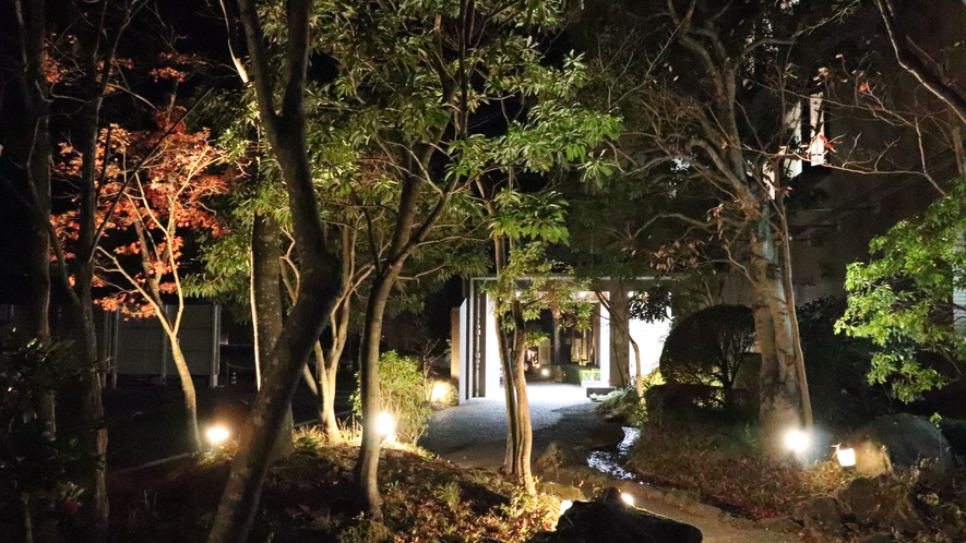 【外観】夜の庭園