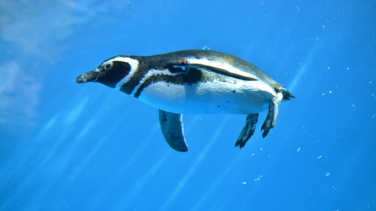 うみがたり(北陸自動車道・上越ICより15分)