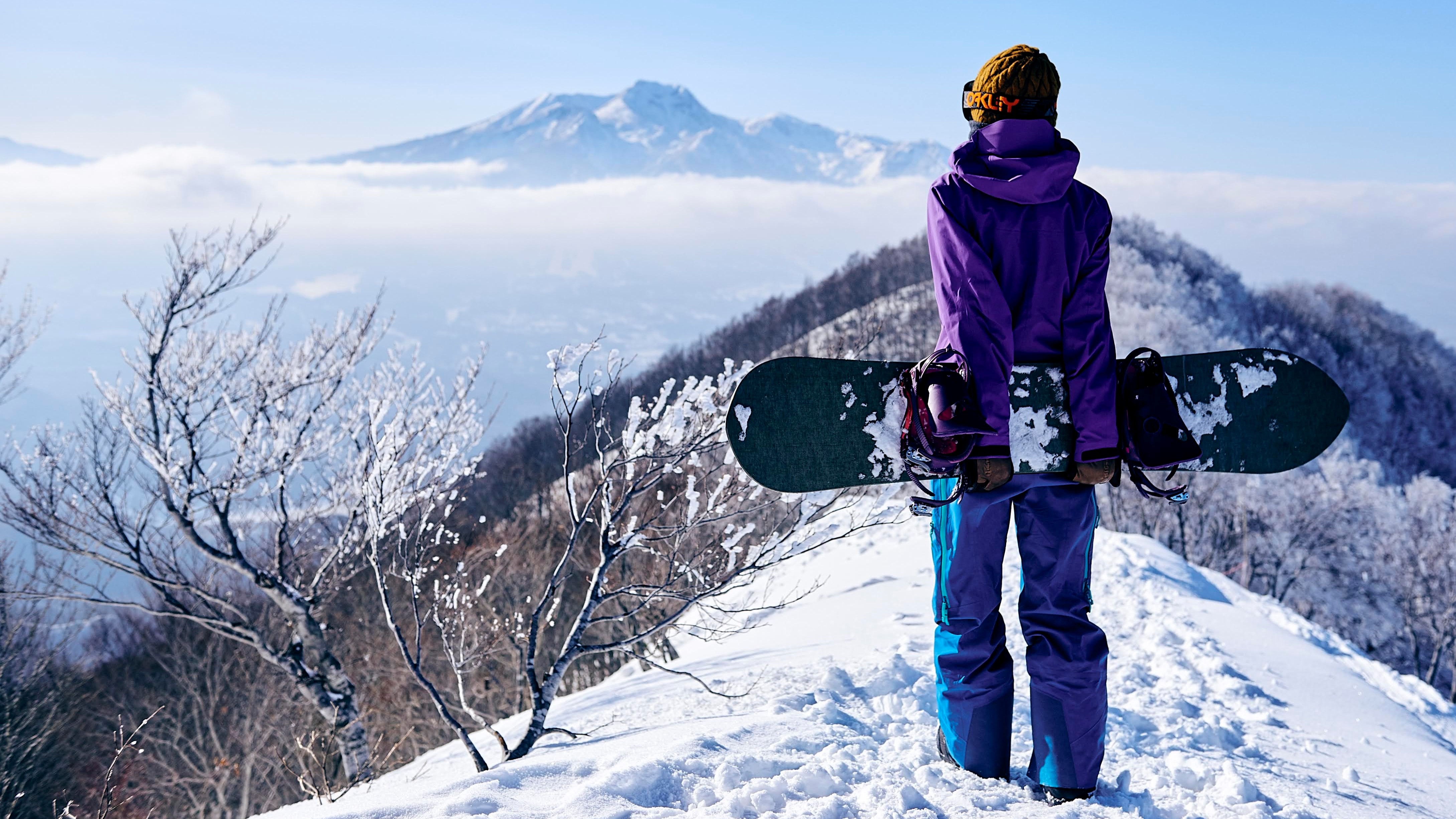 山頂からの眺め