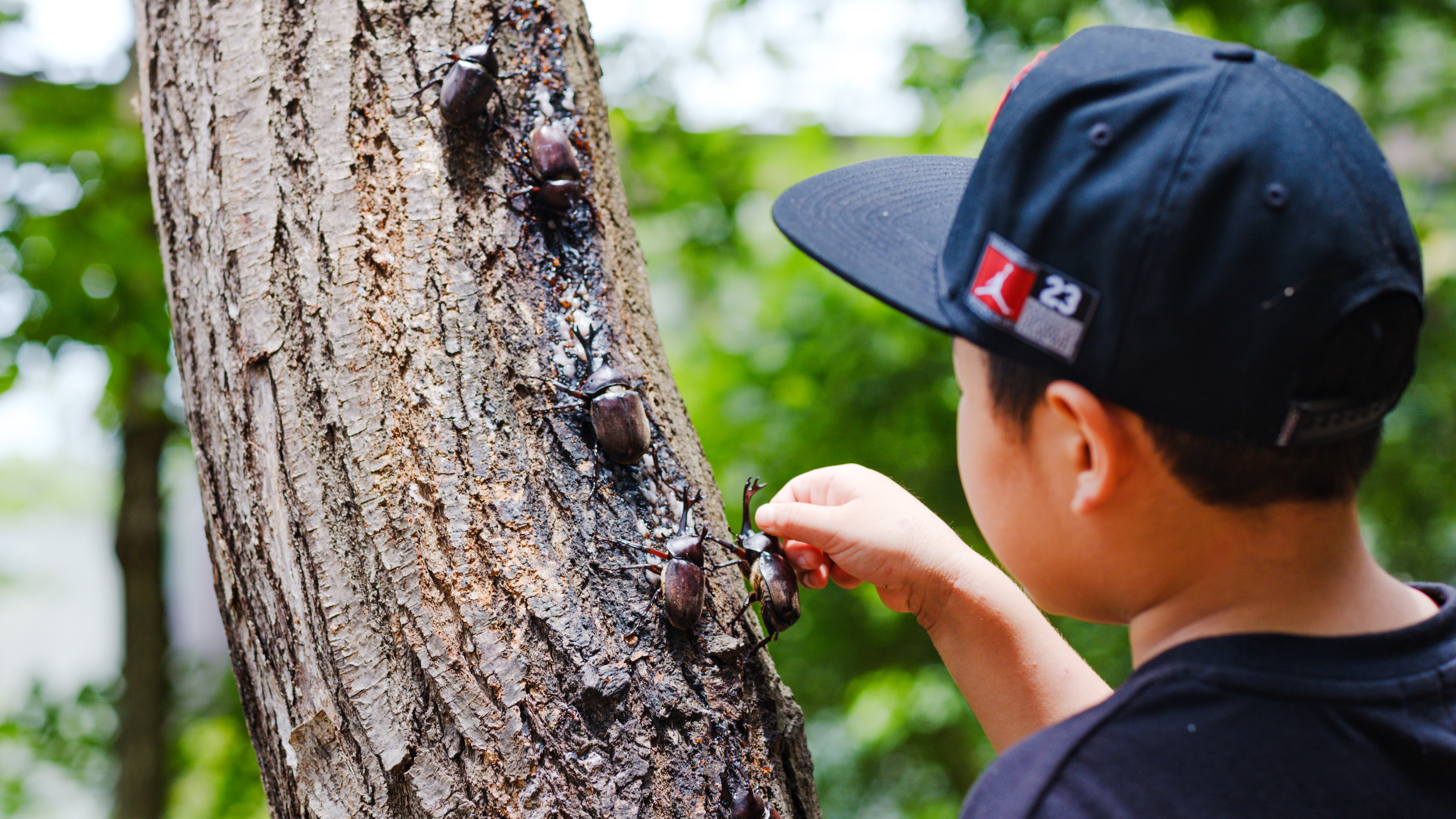 パラダ(上信越自動車道・佐久平PA)