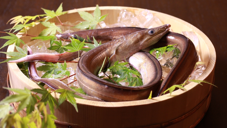 ☆【1泊2食付！夏季限定】これからの季節が旬！絶品「活ハモ特別会席」〜こだわりオニオンスープの鱧旨鍋