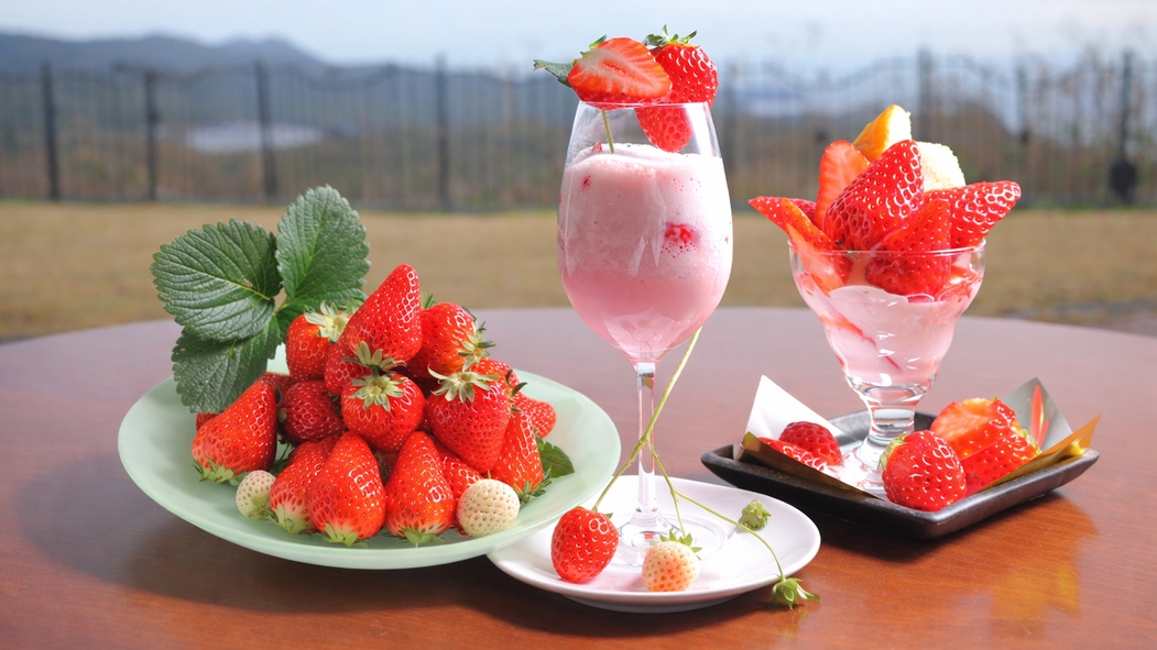 ☆【1泊2食付】お部屋でも農園でも、いちご三昧！絶品パフェ＆食べ比べ「すさみんのいちご畑」満喫ステイ