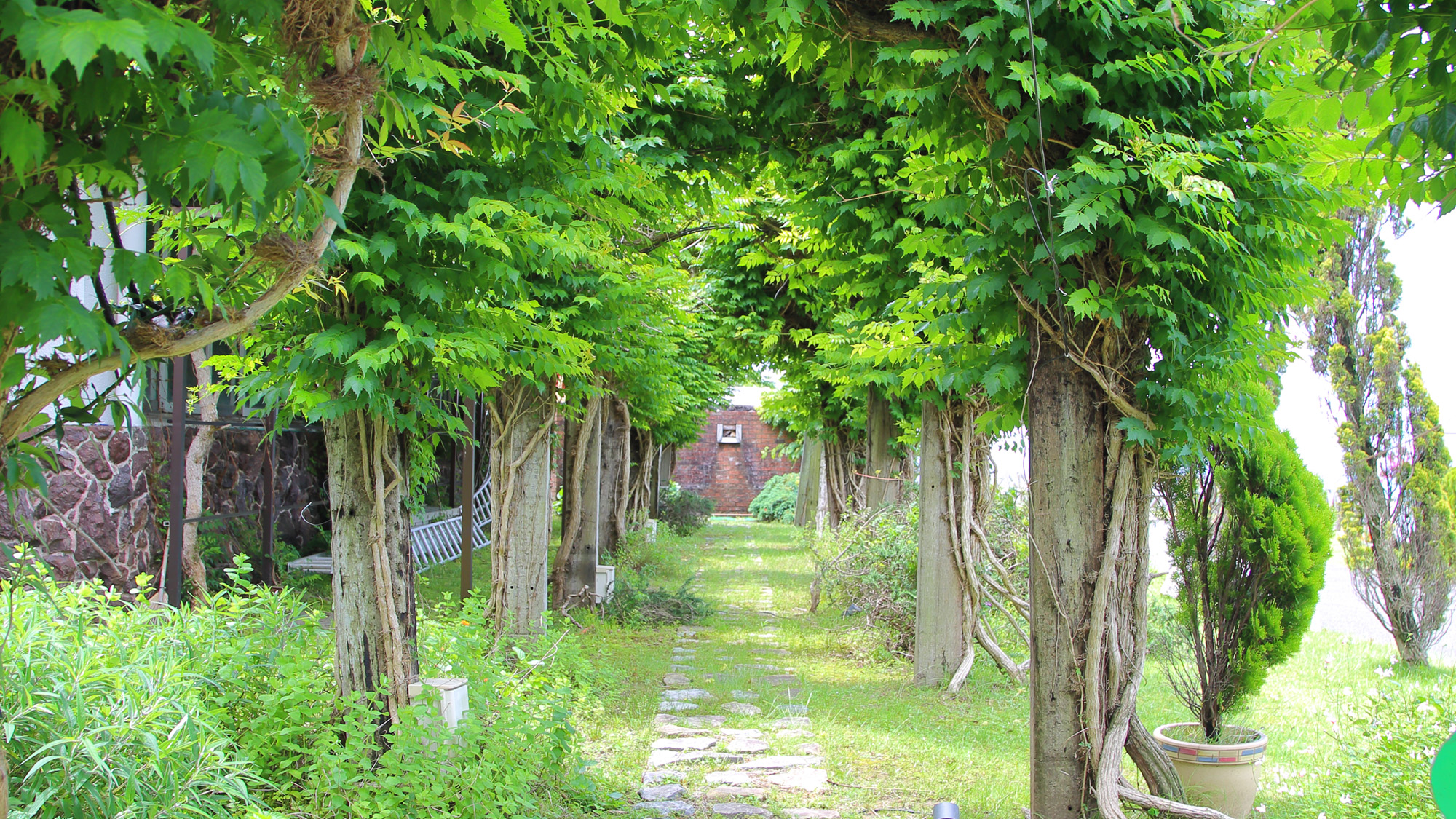 ハーブガーデン