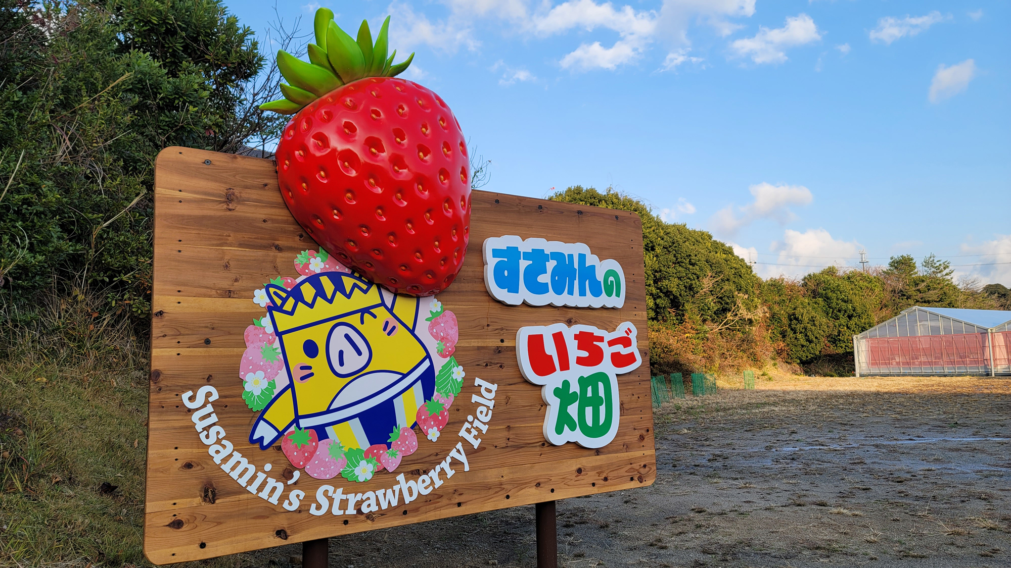 とれたていちごが楽しめるすさみんのいちご畑