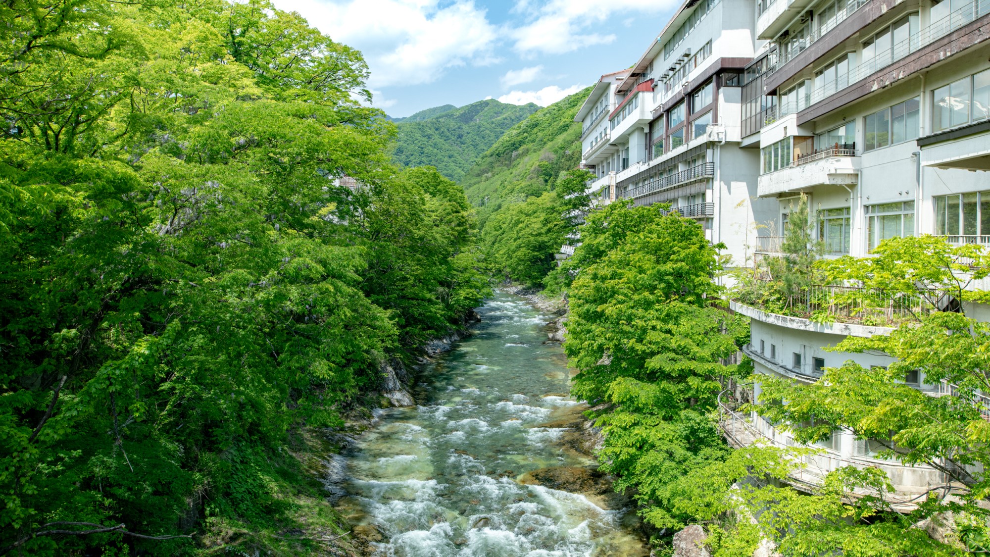 【外観】当館のすぐ横を利根川が流れます。自然に浸る滞在をお楽しみください。