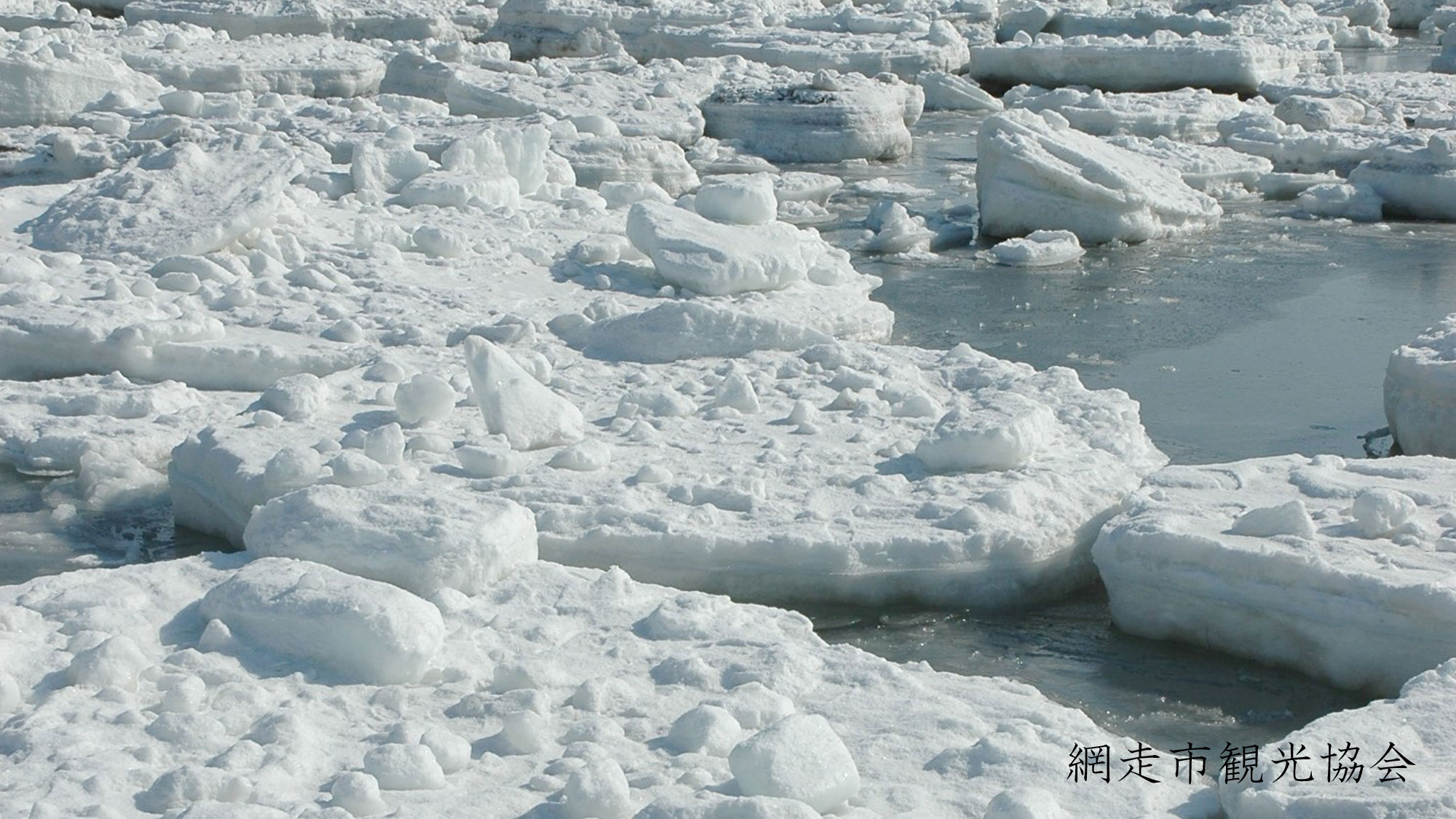 *［風景／冬］流氷。運が良ければアザラシなどの海獣類や鳥類に出会えるかも？！