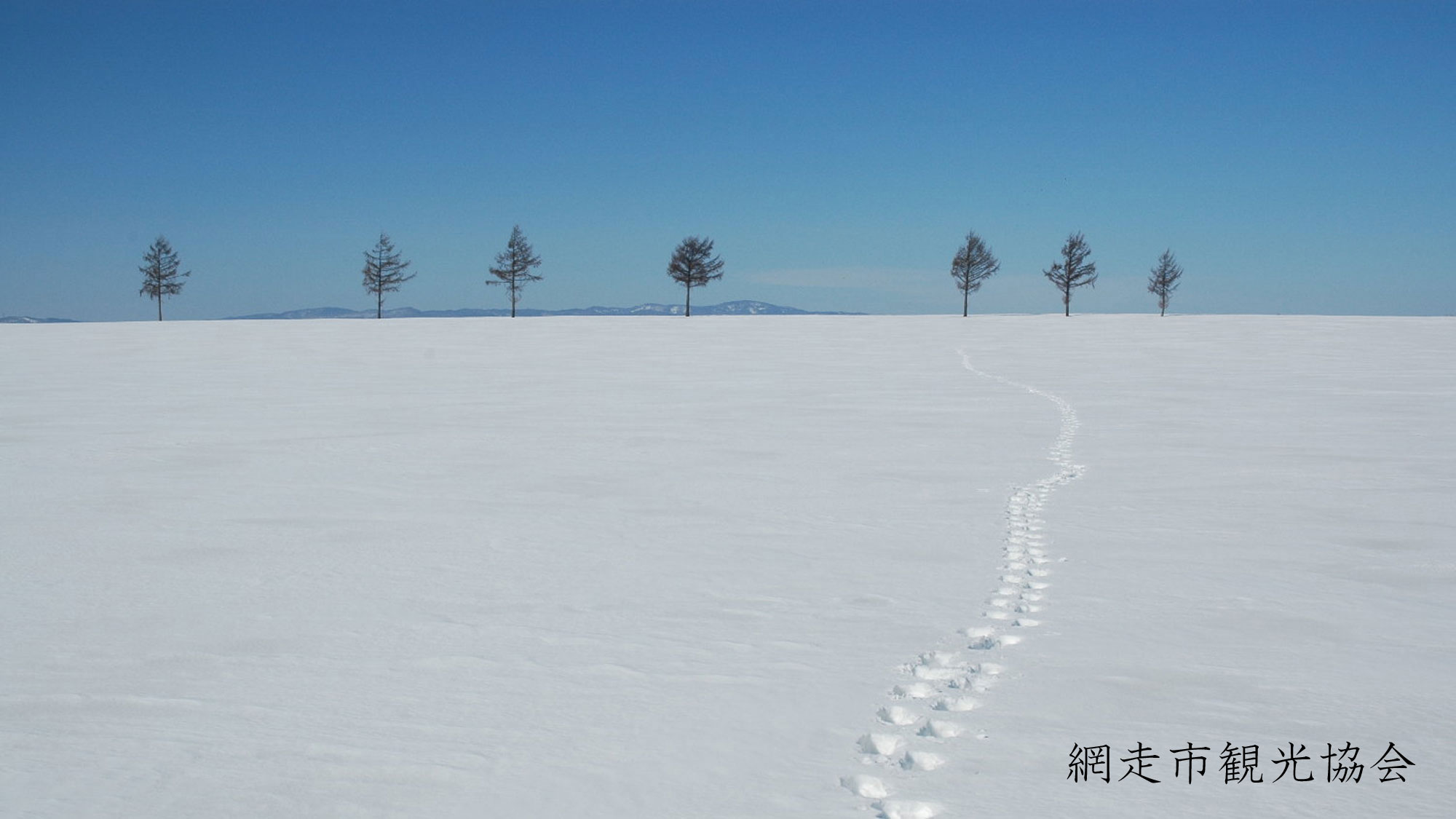 *［風景／冬］雪原に残る小動物の足跡
