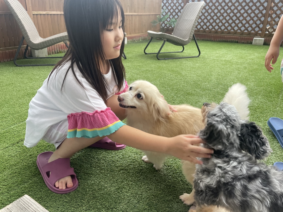 わんちゃんと一緒２
