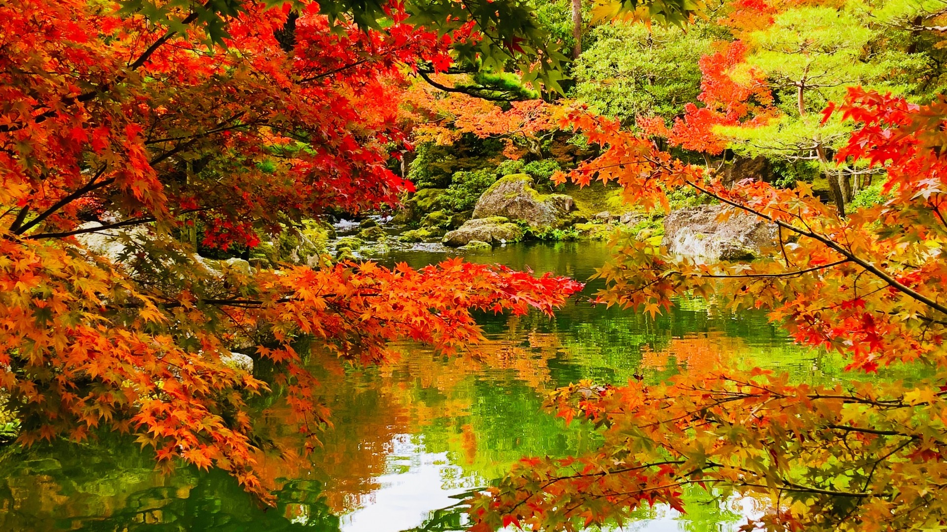 【由志園】例年、11月上旬から中旬にかけて紅葉が見頃を迎えます。