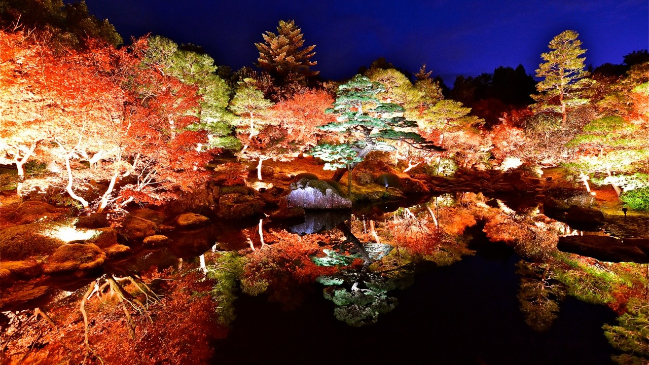【由志園】ライトアップされた庭園で、幻想的なひとときを。