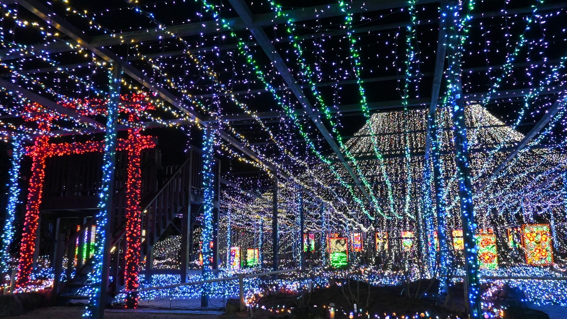 【由志園】秋冬限定イルミネーションは異なるテーマの幻想的な景色が人気です