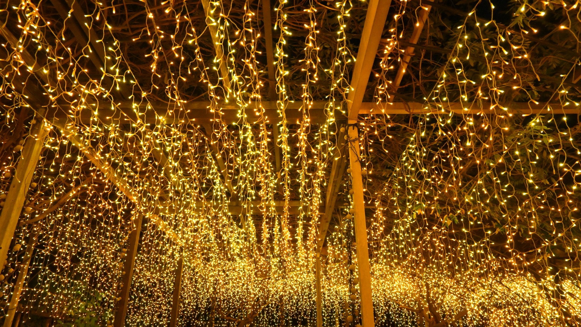 【由志園】秋冬限定のイルミネーションは130万球の光、50台のプロジェクターで幽玄の世界を演出します