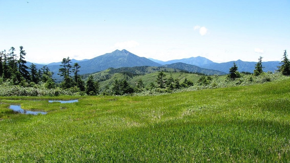 【　花の名山　会津駒ケ岳・昼食お弁当付山旅プラン　】四季折々の原生林を歩き、心洗われる別世界の景観へ