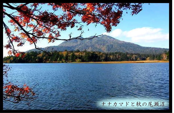 【　尾瀬国立公園への四季の旅　】特別天然記念物・尾瀬の玄関口　檜枝岐温泉周遊と花の尾瀬沼散策プラン
