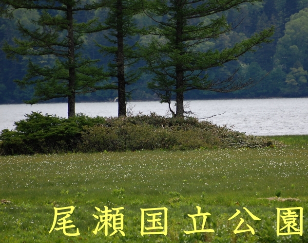 【　四季折々の大自然との出会い　】　ビジネスや山旅などにご利用ください・お食事なしの素泊りプラン　