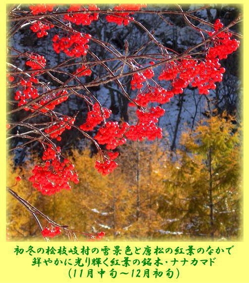 【紅葉から落葉そして初雪の季節】期間限定・晩秋から初冬のお得な秋旅プラン